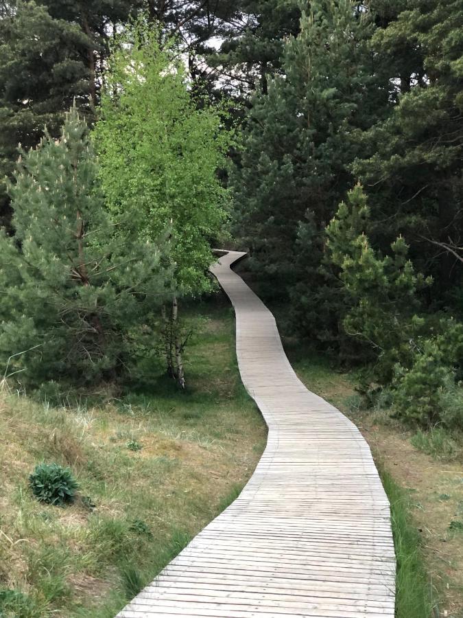 Studio Modern Šventoji Екстериор снимка